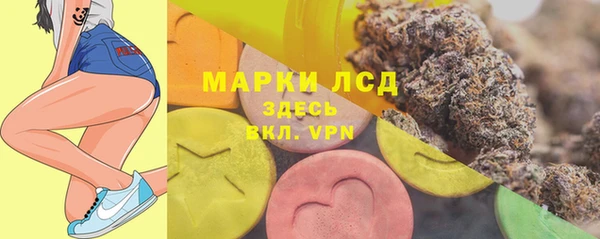 ECSTASY Богданович