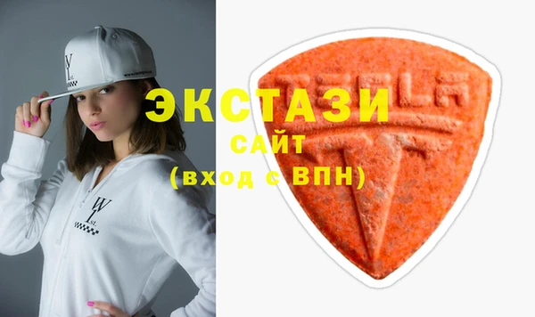 ECSTASY Богданович