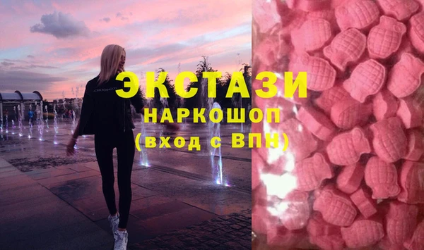 ECSTASY Богданович